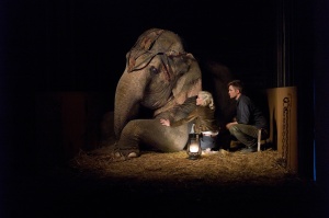 new-HQ-WFE-stills-water-for-elephants-20646852-2048-1359